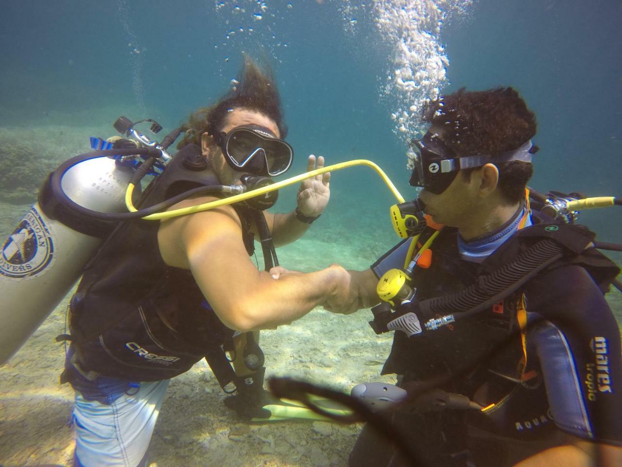 Blue Shark Divers بوناكن المظهر الخارجي الصورة
