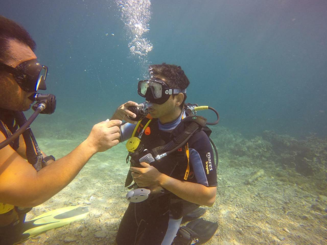 Blue Shark Divers بوناكن المظهر الخارجي الصورة