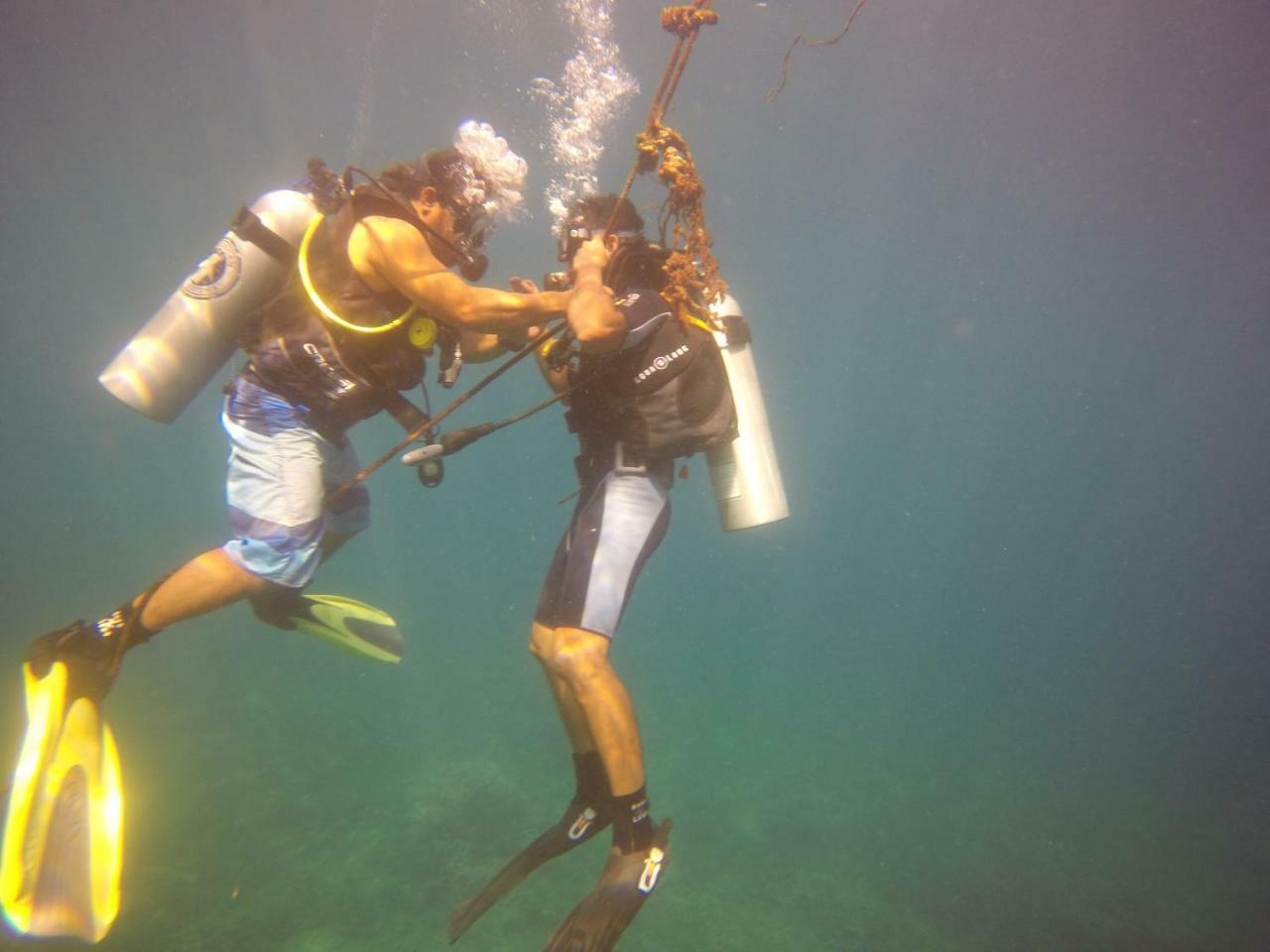 Blue Shark Divers بوناكن المظهر الخارجي الصورة